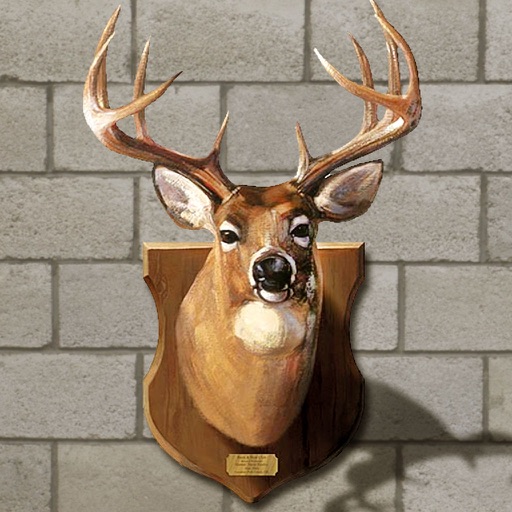 Kill Deer 3D: Gun Simulator Animal Target Shooting icon