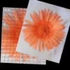 Flower FX - Apply cool effects to wallpapers - iPadアプリ