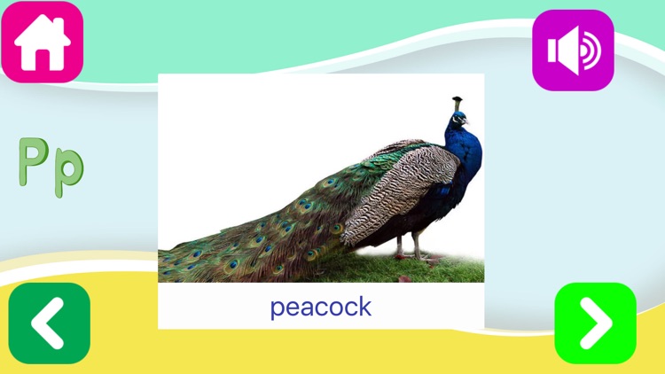 ABC For Kids - Alphabet flashcard Learning Toddler screenshot-3