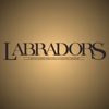 Labrador Magazine