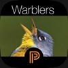 The Warbler Guide icon