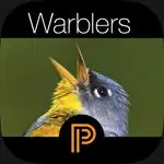 The Warbler Guide App Problems