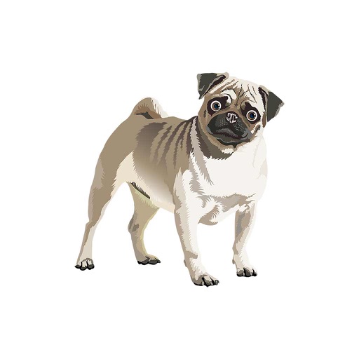 Realistic Dog Art - Dogs, Terrier, Black Lab, Pug Icon