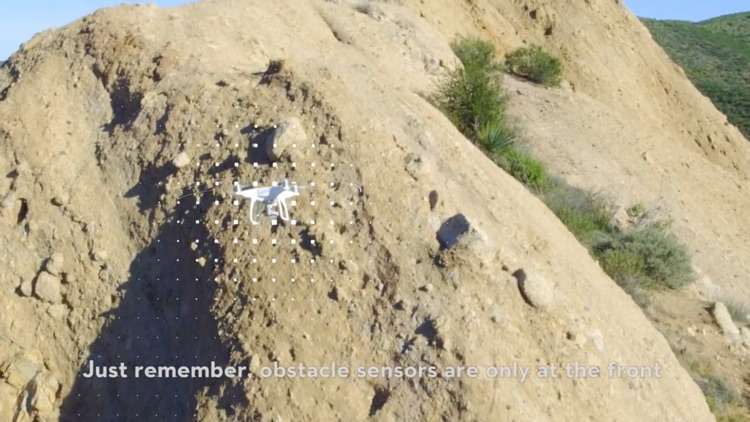 PROCAM for Phantom 4 Drone