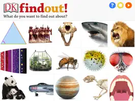 Game screenshot DKfindout! mod apk