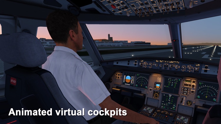 Aerofly FS 2 Flight Simulator screenshot-1