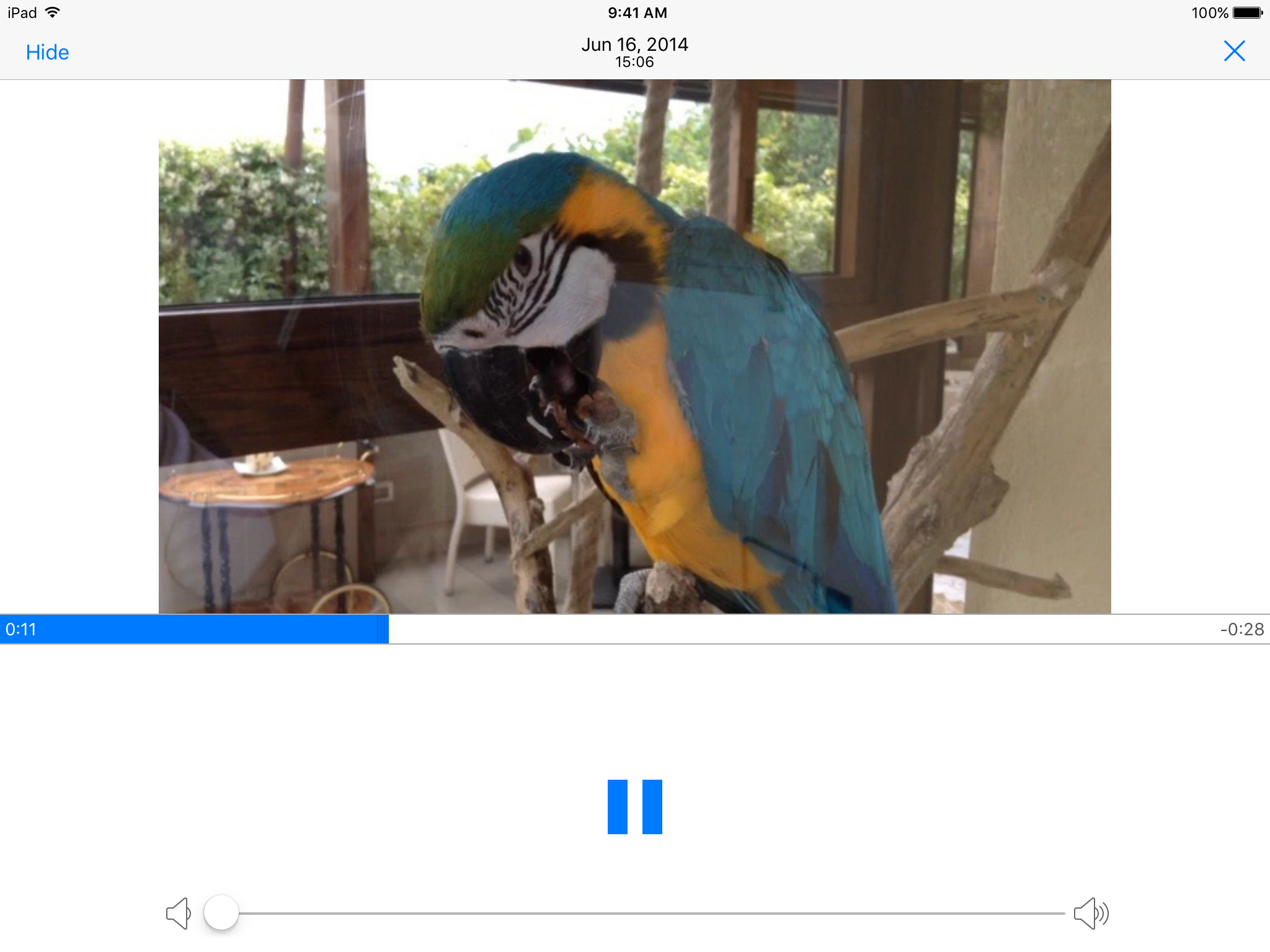 Cast Player: Your Photos and Videos on Chromecast