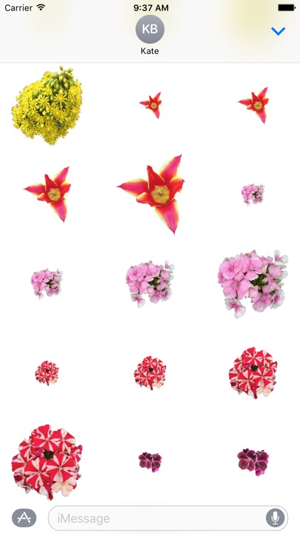 Flower Stickers 花貼紙 screenshot-4