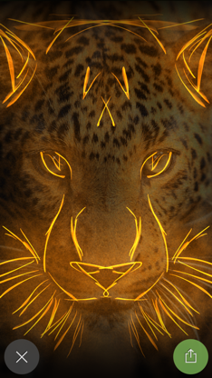 Silk Coloring screenshot 1
