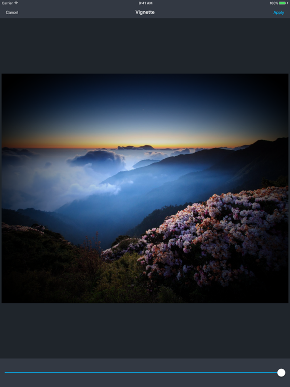 Screenshot #4 for Photo Editor App Pro