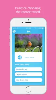 vietnamese vocabulary - study vietnamese language iphone screenshot 4