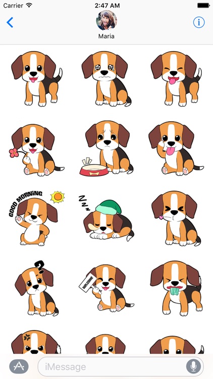 Mario the Beagle - Stickers