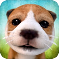 犬 Dog Simulator