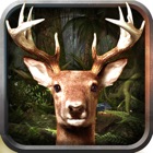 Top 48 Games Apps Like Deer Predator 3D Animal Hunt Wild Safari Park 2k16 - Best Alternatives