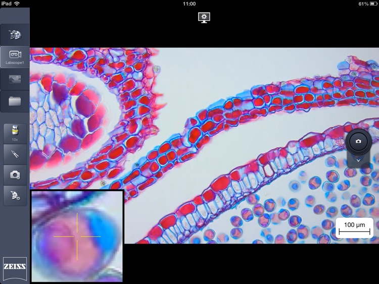 Labscope
