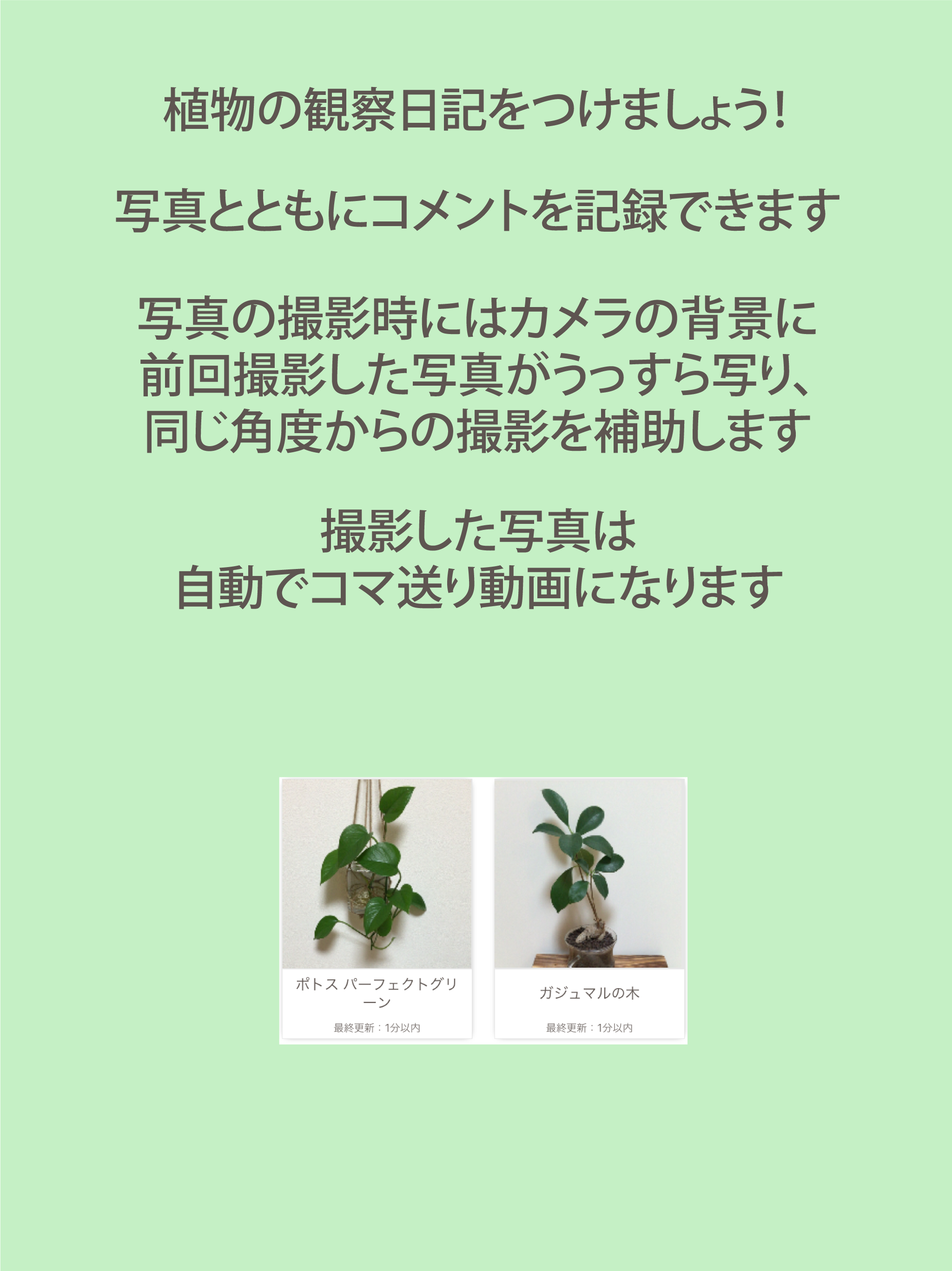 観察日記 screenshot 5