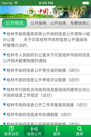桂林市政府 screenshot 3