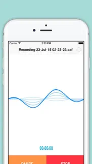 best automatic voice recorder : record meetings iphone screenshot 1