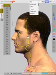 the meridian lite ipad resimleri 4