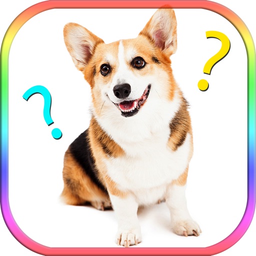 Dog images compare word guessing exercise quiz Icon