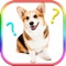 Dog images compare word guessing exercise quiz