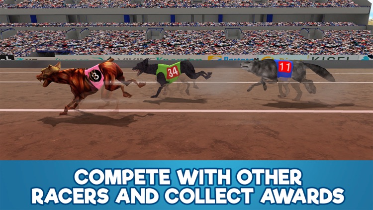 Dog Racing Tournament Sim 3D Full