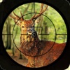 Safari Animal hunting challenge 2016 – deer, bear and fox shooting game to increase the shooting level.