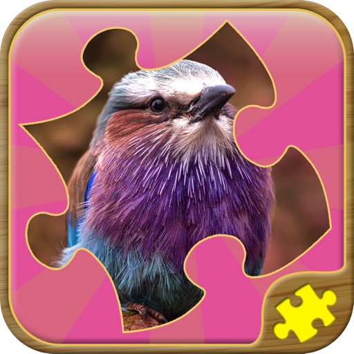 Best Jigsaw Puzzles Icon