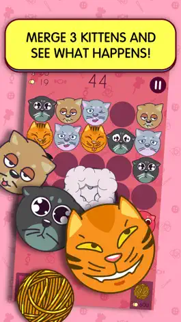 Game screenshot Sly Kittens! apk