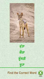 Flashcards Punjabi Lesson screenshot #5 for iPhone