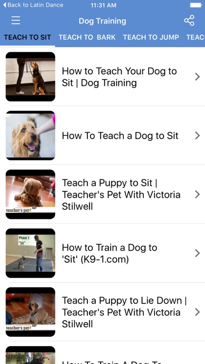 Dog Training Video