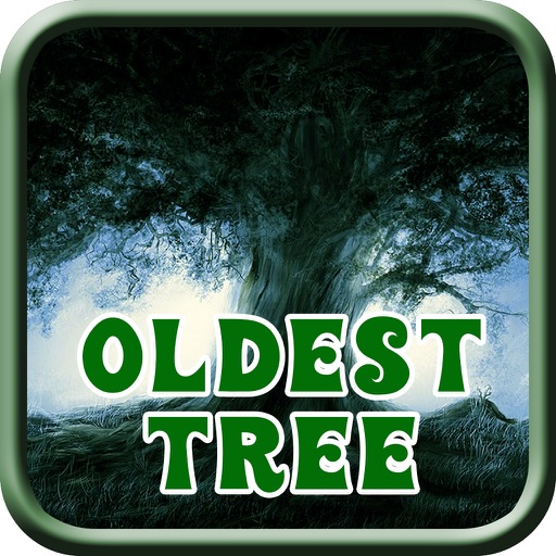 Oldest Tree - Hidden Object Game Icon