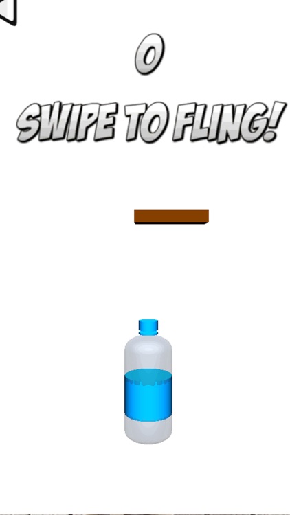 Mini Water Bottle Flip