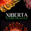 Xiberta Flors Plantes