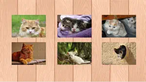 Pussycat Jigsaw Puzzle Free Kitty Games For Kids screenshot #2 for iPhone