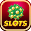 Best Machines Casino - Free Slots Game