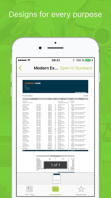 Templates for Numbers Professional Screenshot
