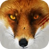 Wild Beach Fox Simulator Attack - 3D Hunter Sim