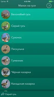 Охотничий манок на гуся айфон картинки 2