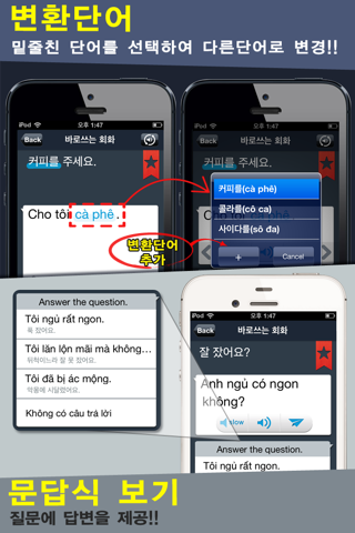 Vietnamese Conversation screenshot 4