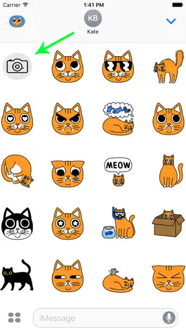 Game screenshot Cat Stickers for Messages & Photos hack