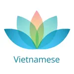 Vietnamese Vocabulary - Study Vietnamese language App Positive Reviews