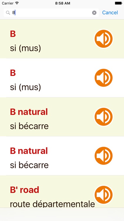 English French Dictionary Offline For Ipad