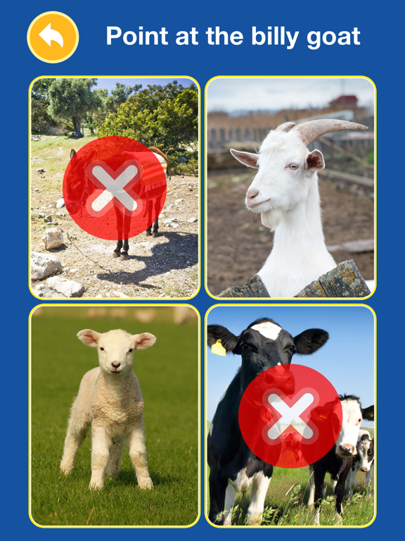 Baby Flash Cards Games & Kids Animal Sounds Free iPad screenshot 5 - Education app