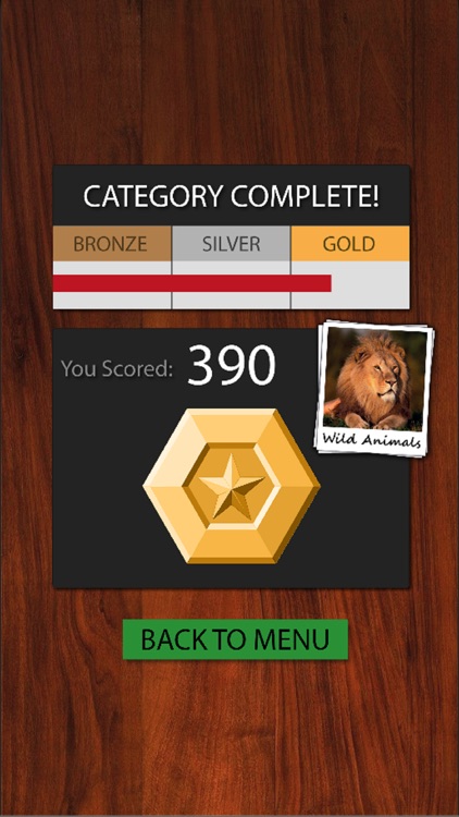 Picture Guess - Cognitive Stimulation