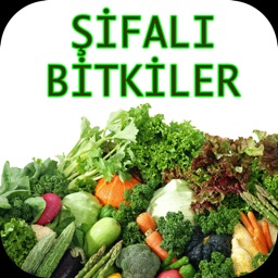 Şifalı Bitkiler