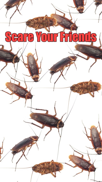 Roach Scare Prank