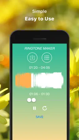 Ringscut screenshot 1