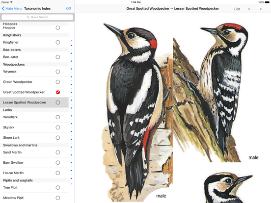 Screenshot #5 for eGuide to British Birds