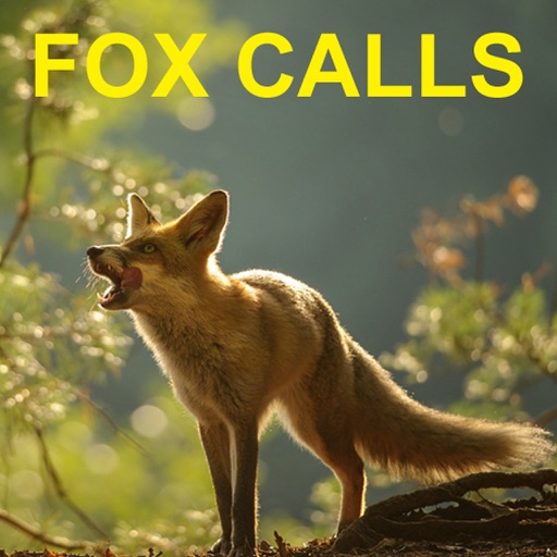 Predator Calls for Fox Hunting & Predator Hunting